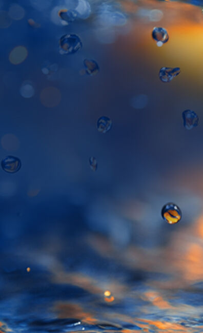 Specialty Chemicals